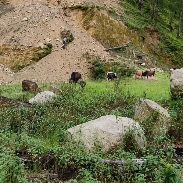 जोरायलमा आधारभुत अस्पताल निर्माण : पाँच वर्षको प्रगति मात्रै ११ प्रतिशत !