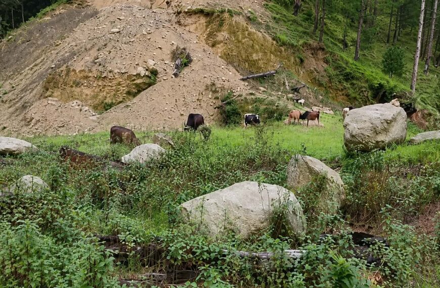 जोरायलमा आधारभुत अस्पताल निर्माण : पाँच वर्षको प्रगति मात्रै ११ प्रतिशत !