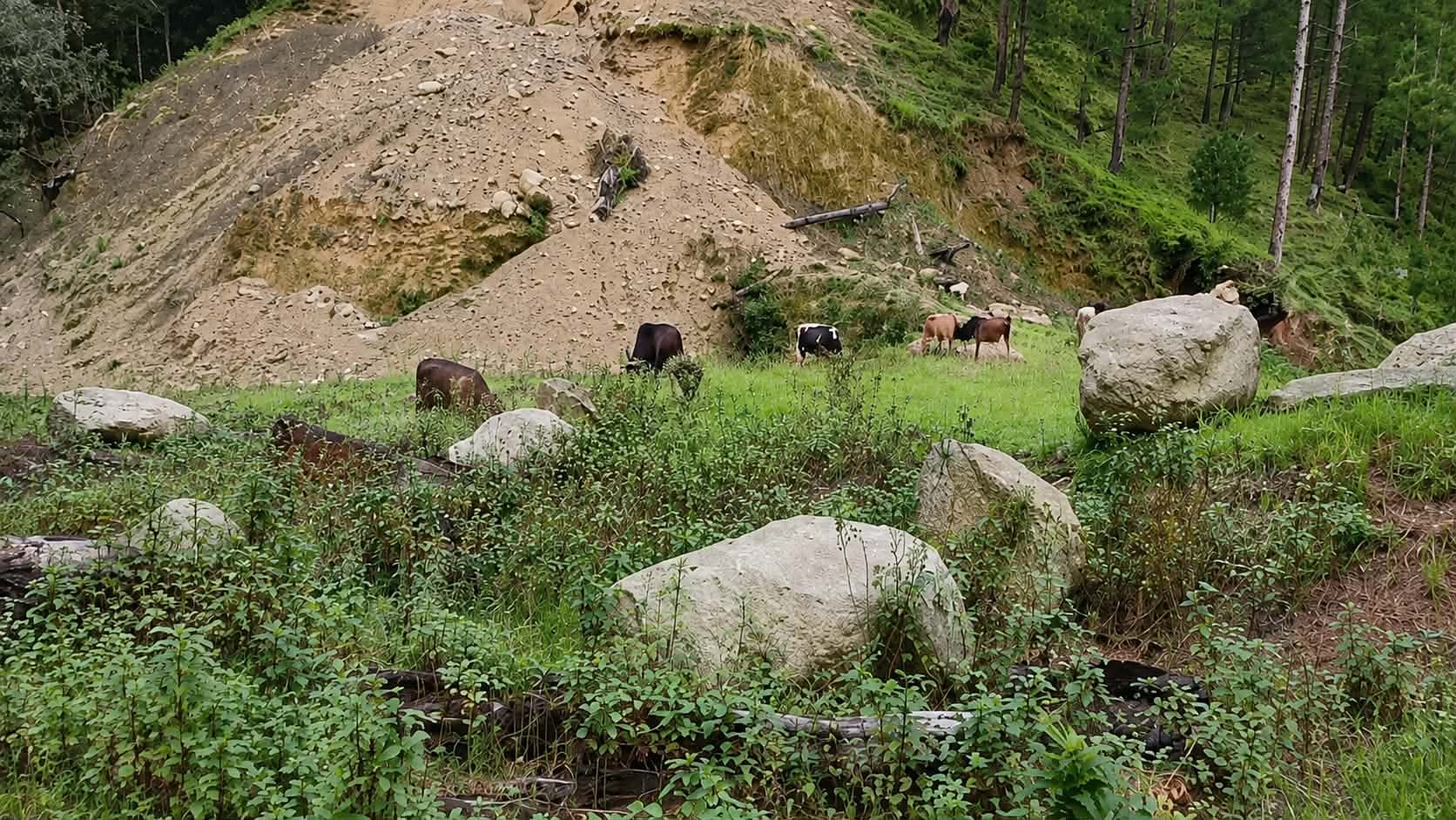 जोरायलमा आधारभुत अस्पताल निर्माण : पाँच वर्षको प्रगति मात्रै ११ प्रतिशत !