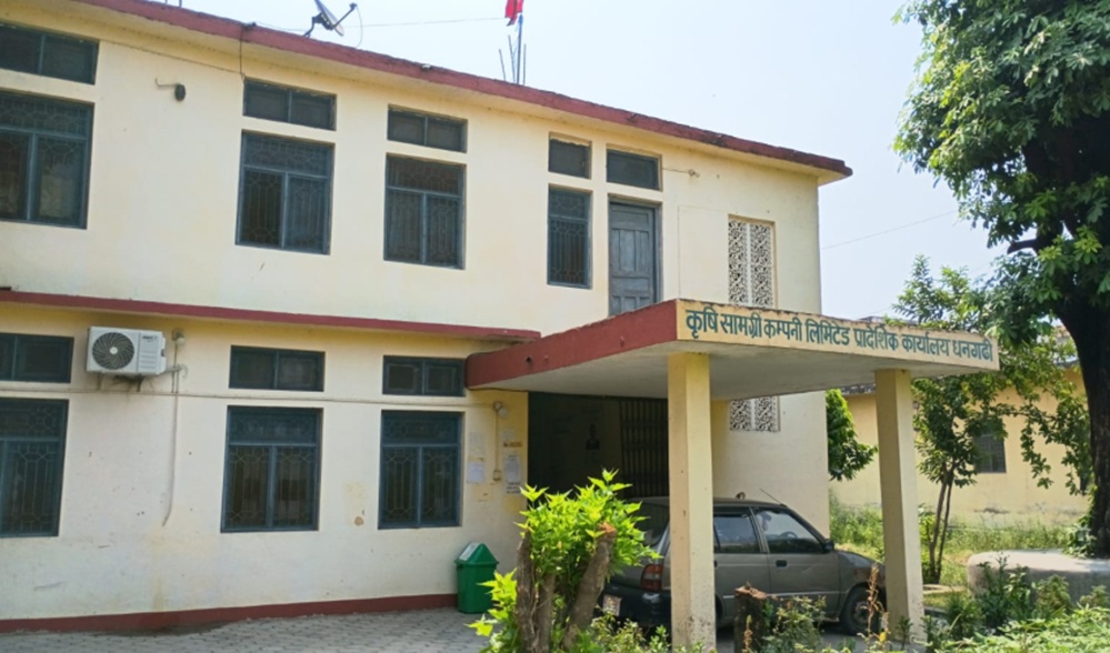 धनगढीमा युरिया बिक्री बढे पनि डिएपीको आपूर्ति…