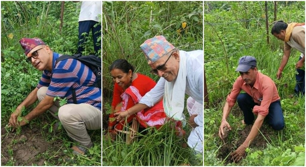 द्याँचु/गौरा मन्दिर निर्माणस्थलमा बरालगाउँ समाजद्वारा वृक्षारोपण