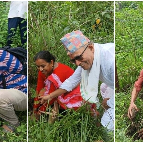 द्याँचु/गौरा मन्दिर निर्माणस्थलमा बरालगाउँ समाजद्वारा वृक्षारोपण