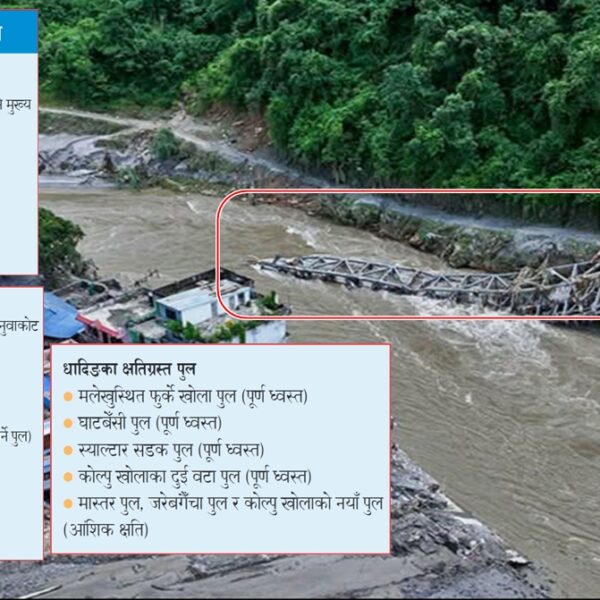 प्राकृतिक विपत्ति: बाढीको चपेटामा नेपालका तीन जिल्लाका महत्त्वपूर्ण पुलहरू
