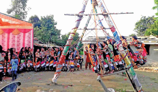 रानाथारू बस्तीमा साउनको रौनक : तिजअघि नै डोलामा झुम्दै महिला–युवा
