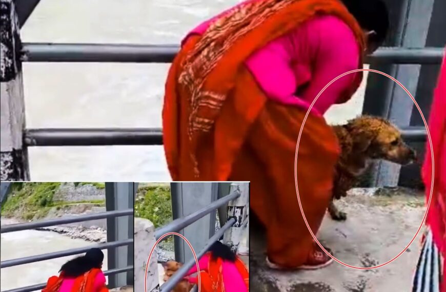 बझाङमा कुकुरलाई सेती नदीमा फाल्ने महिला पक्राउ
