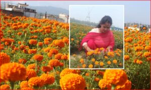 पाँच लाखबाट सुरु भएको फूलखेती, ५० लाखको कारोबार : सुशीलाको मेहनतले फुल्यो समृद्धिको बाटो