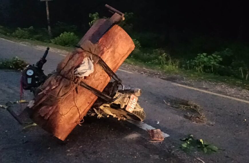 रातिको गस्तीमा फेला पर्यो चोरीको सालको काठ, १४.३५ क्यूफिटसहित एक पक्राउ