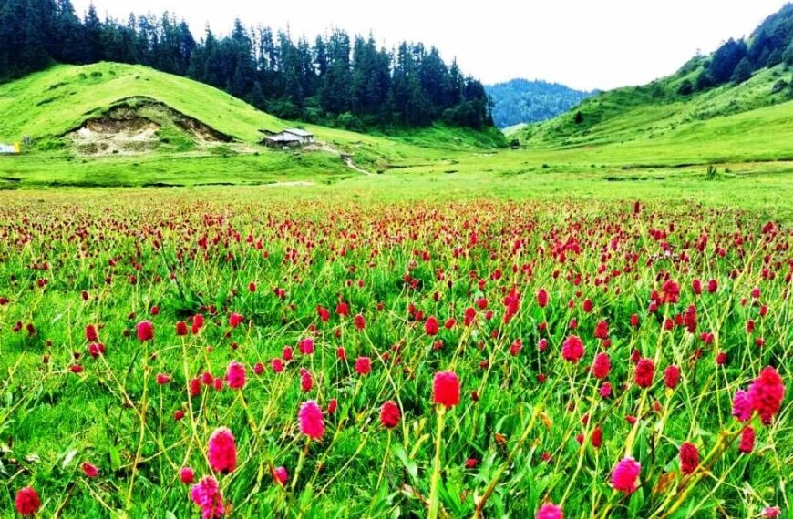 “चाडपर्व नजिकिँदै छ, परिवारसँग घुम्न जाने योजना बनाउँदै हुनुहुन्छ ? नेपालका यी १५ शानदार गन्तव्यमा पुगेर के–के हेर्न सकिन्छ?