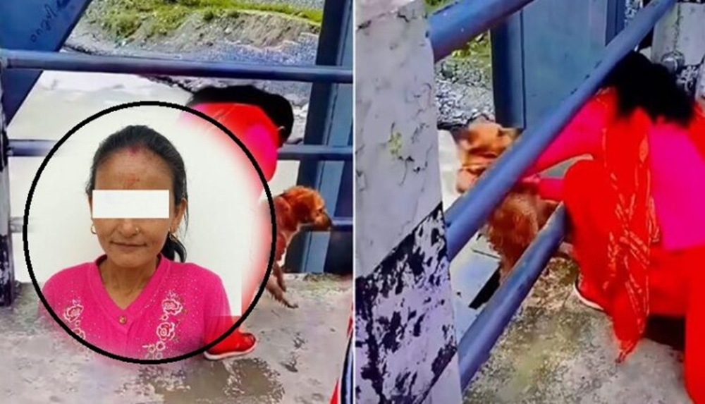 जिउँदै कुकुरलाई सेती नदीमा फालेको आरोपमा पक्राउ…