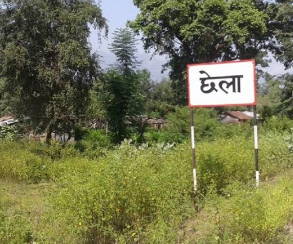 एक दशकपछि दैजी–छेला औद्योगिक क्षेत्रको बाटो खुल्यो, वन क्षेत्र प्रयोगको स्वीकृति