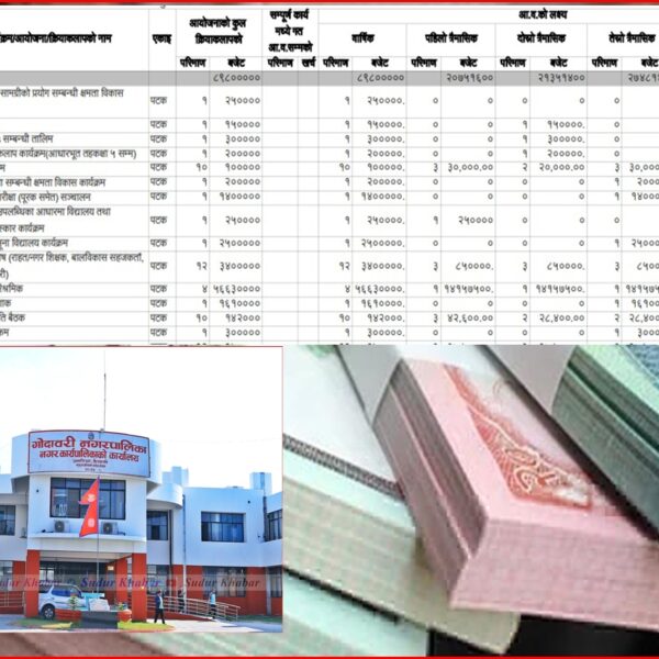 गोदावरी नगरपालिकामा नवप्रवर्तन बजेट अन्यत्र सारिँदा युवामा निराशा