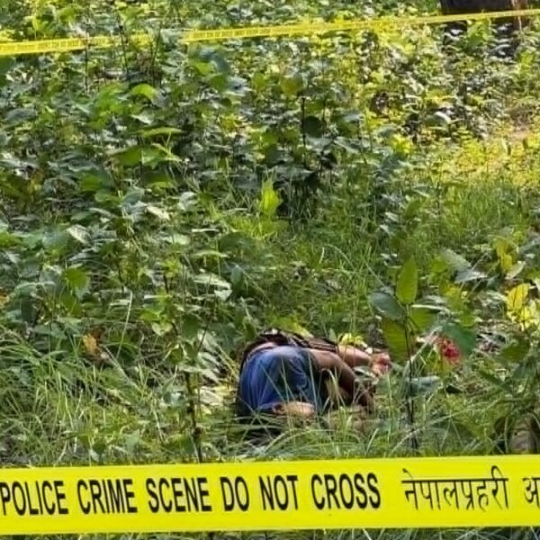 च्याउ खोज्न जंगल गएका कृष्णलाई बाघले झम्टियो, घटनास्थलमै मृत्यु