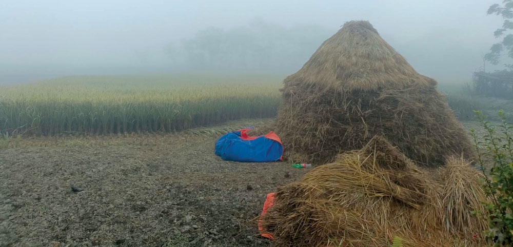 थारू समुदायको परम्परागत धान भण्डारण विधि ‘खेन्हुवा&hellip;