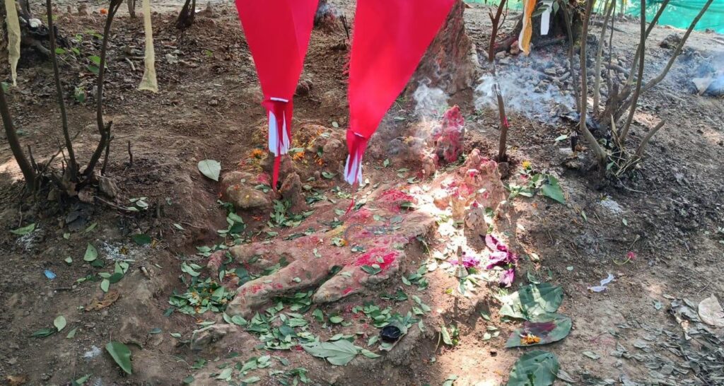 अत्तरियामा ‘३३ कोटी देवताको शिला’ प्रकट भएको…