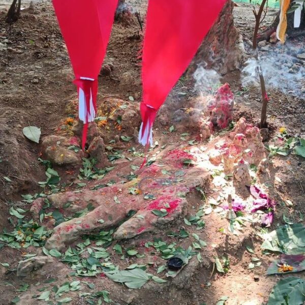 अत्तरियामा ‘३३ कोटी देवताको शिला’ प्रकट भएको दाबी, वन अतिक्रमणको आशङ्का