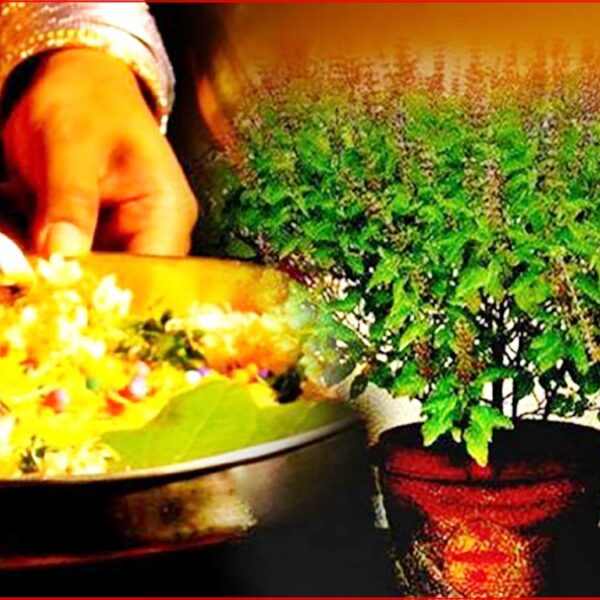 आजदेखि कात्तिक स्नान, तुलसी पूजा र आकाशदीपदान सुरु, यस्तो छ धार्मिक महत्त्व